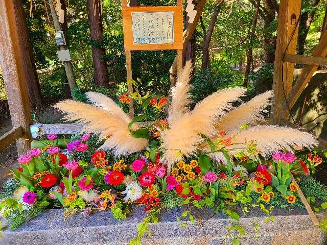 福岡県糸島市東1011 伊都国宮地嶽神社の写真4