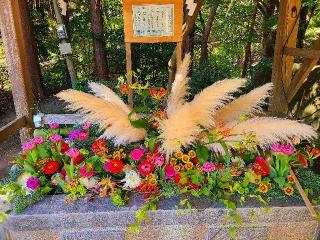 伊都国宮地嶽神社の参拝記録(風祭すぅさん)