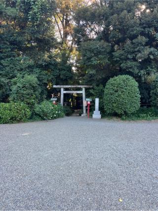 八幡神社（鷲宮神社境内社）の参拝記録(⛩️🐍🐢まめ🐢🐍⛩️さん)
