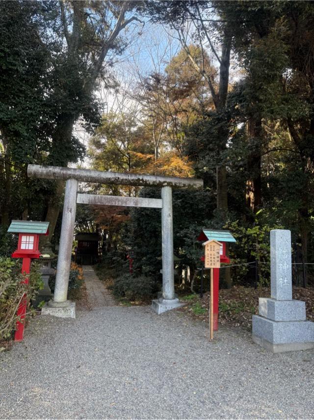 八幡神社（鷲宮神社）の参拝記録3