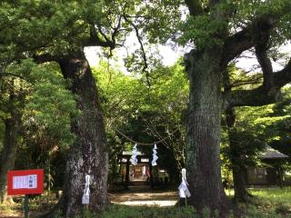 高屋神社の参拝記録(TOSHIさん)