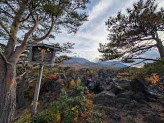 寛永寺別院浅間山観音堂の参拝記録(パスカルさん)