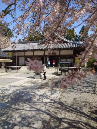 三千院 金色不動堂の参拝記録(ゆりかさん)