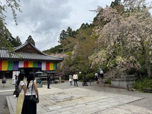 三千院 金色不動堂の参拝記録6