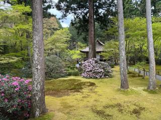 三千院 金色不動堂の参拝記録(たかひろさん)