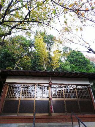 町谷八坂神社(鶴間熊野神社境外社)の参拝記録(またたびさん)
