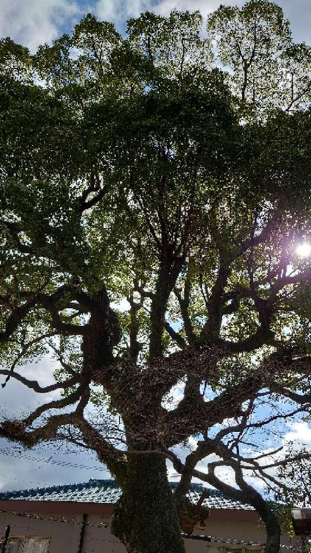 広島県安芸郡坂町横浜西１丁目２７−１ 住吉神社の写真6