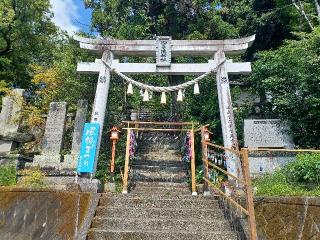 御手洗神社の参拝記録(銀玉鉄砲さん)