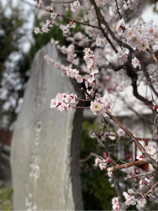 三輪厳嶋神社（弁天神社）の参拝記録(ハコさん)