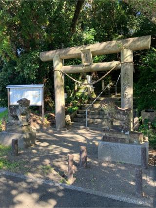 浮田神社の参拝記録(あゆはいさん)