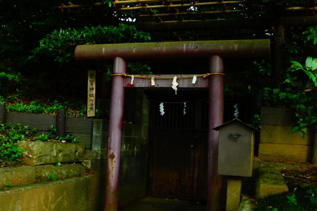 東京都練馬区石神井台１丁目２５−１３ 宇賀神社穴弁天の写真1