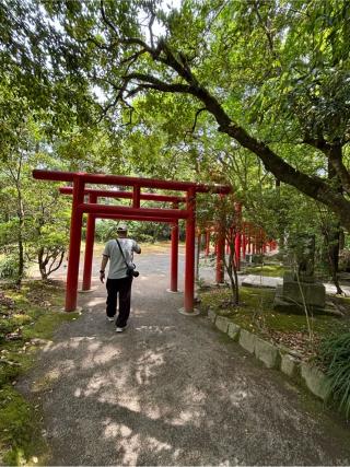 五所稲荷神社の参拝記録(KUMIKOさん)