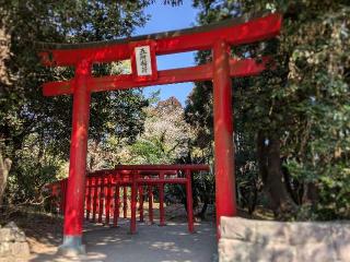 五所稲荷神社の参拝記録(雪月さん)