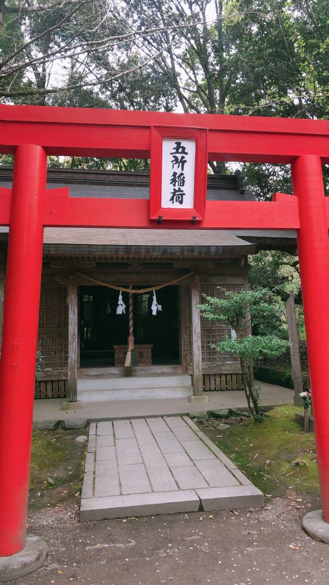 五所稲荷神社の参拝記録4