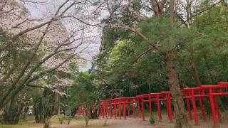 五所稲荷神社の参拝記録( 14th moonさん)