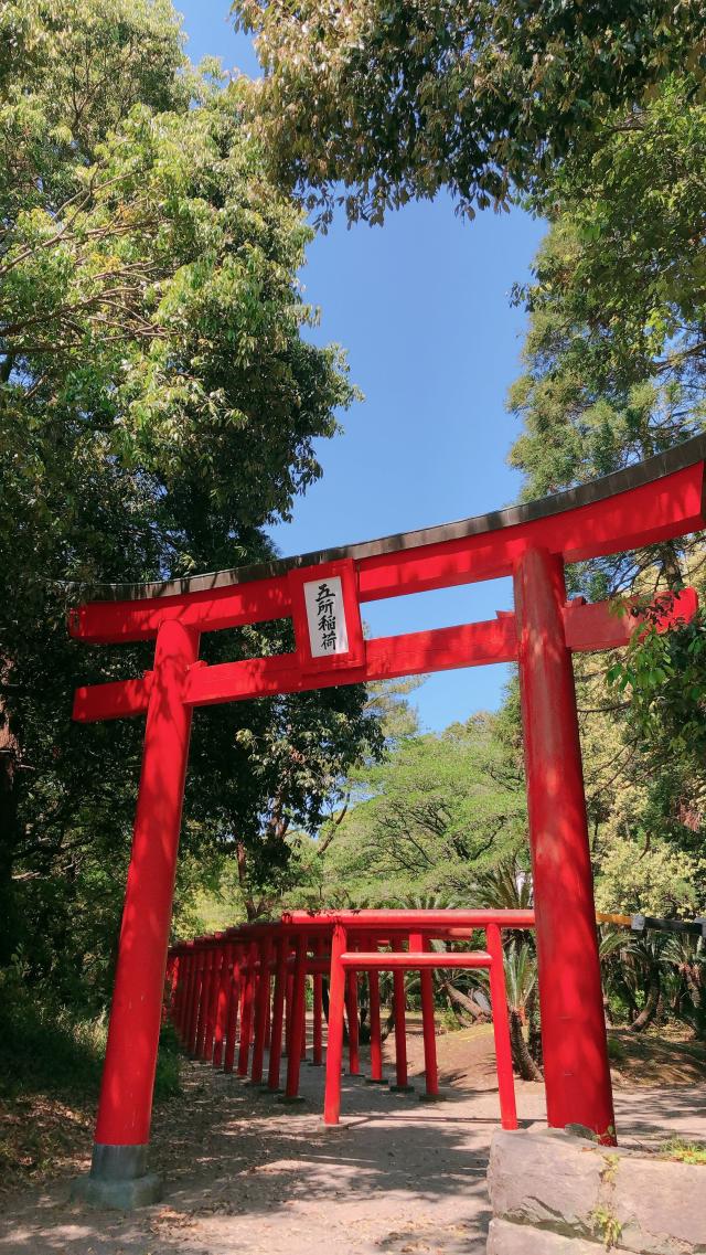 五所稲荷神社の参拝記録3