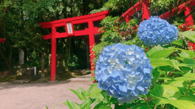 五所稲荷神社の参拝記録2