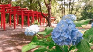 五所稲荷神社の参拝記録( 14th moonさん)