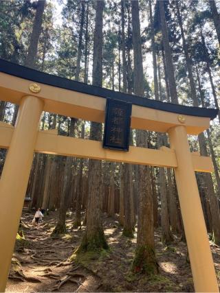 薩都神社中宮の参拝記録(⛩️🐍🐢まめ🐢🐍⛩️さん)