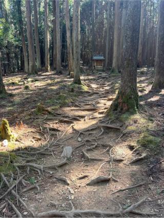 薩都神社中宮の参拝記録(⛩️🐍🐢まめ🐢🐍⛩️さん)