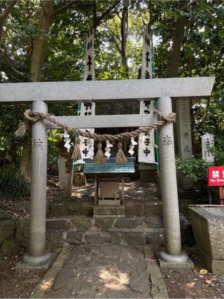 八大龍神社(八百富神社)の参拝記録(コットンさん)