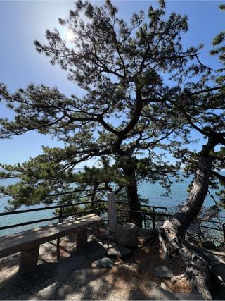 八大龍神社(八百富神社)の参拝記録(Hacyさん)