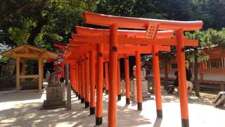 荒熊・白髭稲荷神社（住吉神社摂末社八社）の参拝記録(miyumikoさん)