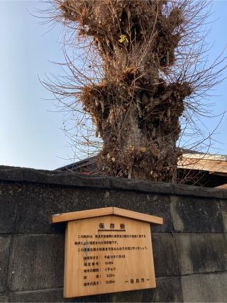 白山神社 (奈良市元興寺町)の参拝記録(すったもんださん)