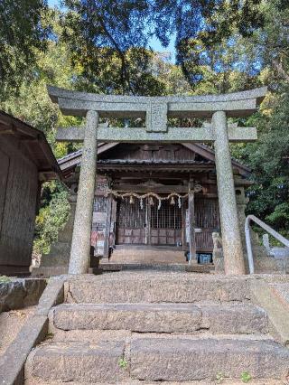 七社宮の参拝記録(こまいぬおさん)