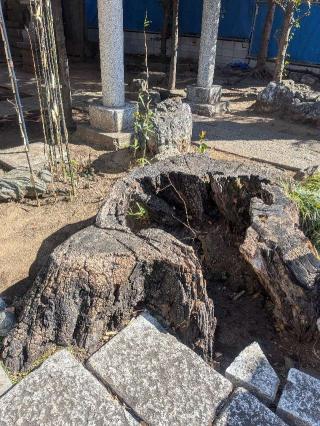 中村御嶽神社の参拝記録(はくすみさん)