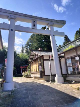 神炊館神社の参拝記録(さとみさん)