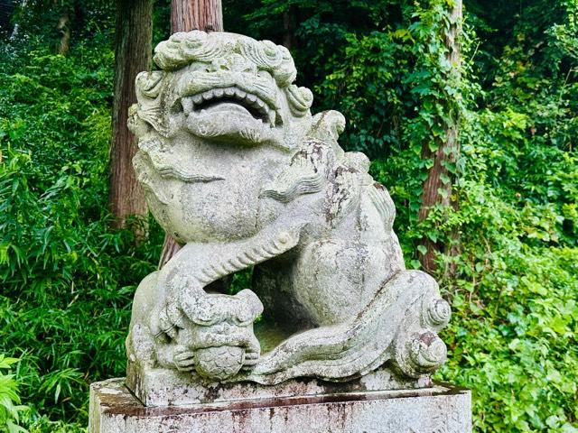 星宮神社の参拝記録1