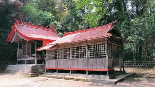 菊宮神社の参拝記録( 14th moonさん)