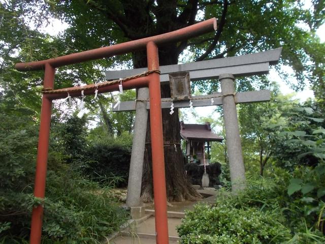 東京都北区中十条4-15 若宮八幡神社の写真2