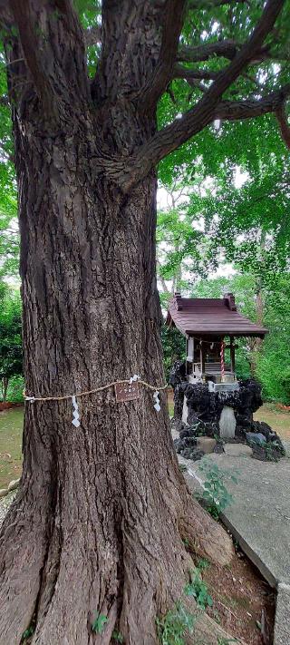 若宮八幡神社の参拝記録(まーぼーさん)