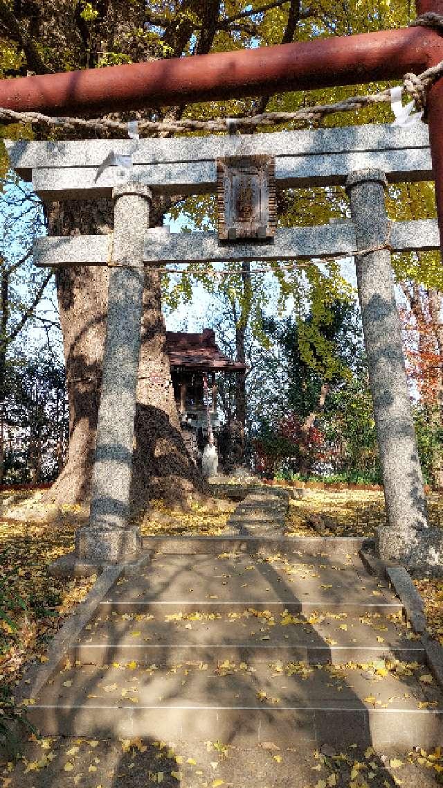 若宮八幡神社の参拝記録(徒歩15分さん)