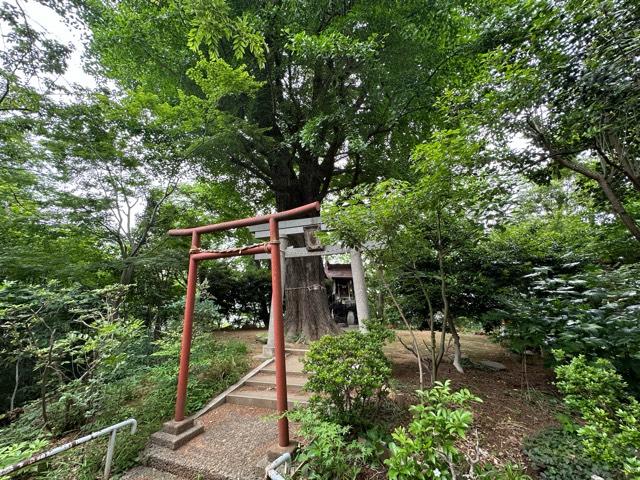 若宮八幡神社の参拝記録6