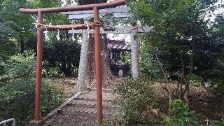 若宮八幡神社の参拝記録(まっちゃんさん)