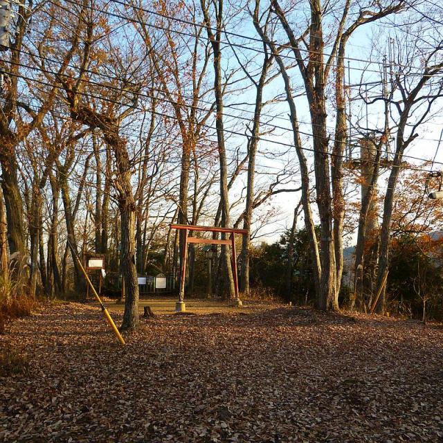 神奈川県相模原市緑区若柳 産霊宮水上神社の写真1