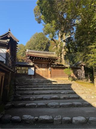 新宮神社（上賀茂神社摂社）の参拝記録(⛩️🎠🐢まめ🐢🎠⛩️さん)