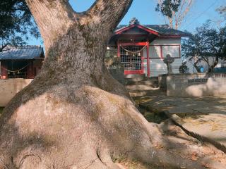 森竹神社の参拝記録( 14th moonさん)