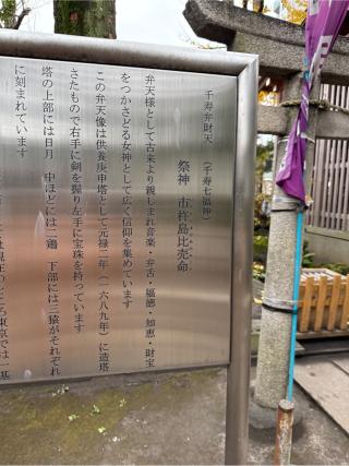 江島神社の参拝記録(⛩️🎠🐢まめ🐢🎠⛩️さん)
