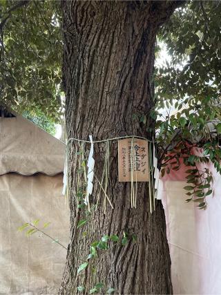 出羽三山神社・鹽竈神社(太子堂八幡神社末社)の参拝記録(⛩️🐍🐢まめ🐢🐍⛩️さん)
