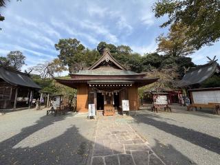 津森神宮の参拝記録(ドラゴンさん)