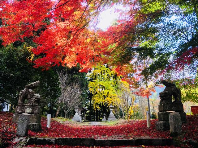 鳥取県日野郡日南町宮内1101 樂樂福神社の写真6