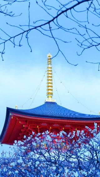 中山寺 青龍塔の参拝記録(布袋大国さん)