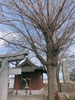 田島地区神社の参拝記録( 14th moonさん)