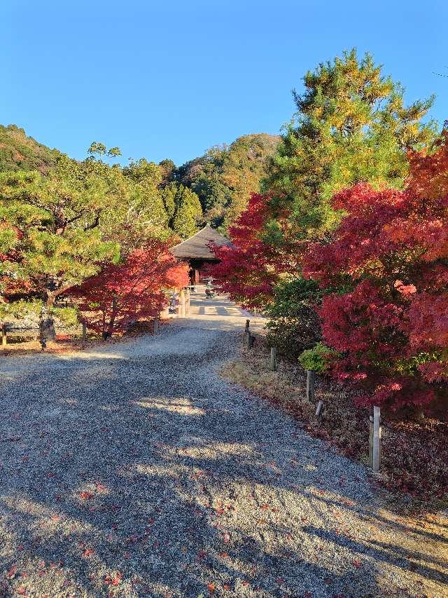 福島県いわき市内郷白水町広畑221 白水阿弥陀堂（願成寺 白水阿弥陀堂）の写真4