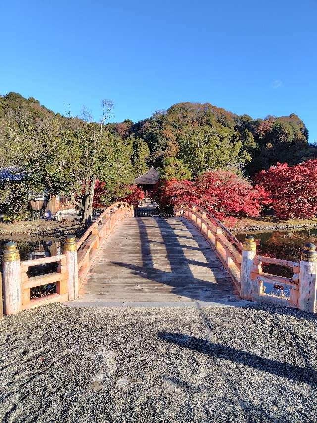 白水阿弥陀堂（願成寺 白水阿弥陀堂）の参拝記録2