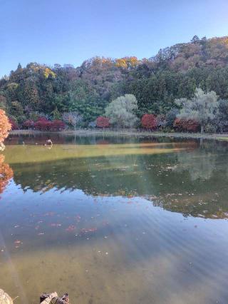 白水阿弥陀堂（願成寺 白水阿弥陀堂）の参拝記録(zx14rさん)